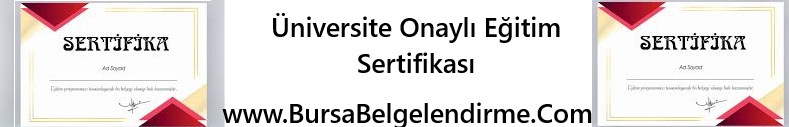 Bursa Hijyen Eğitimi Sertifikası